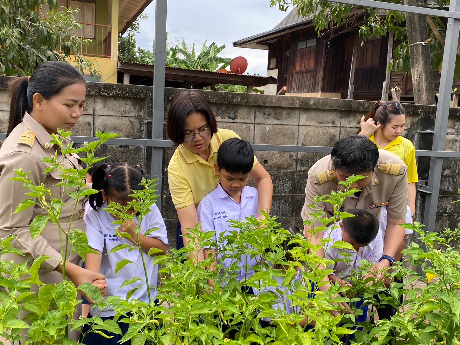 กิจกรรมการเกษตรและเศรษฐกิจพอเพียง 07