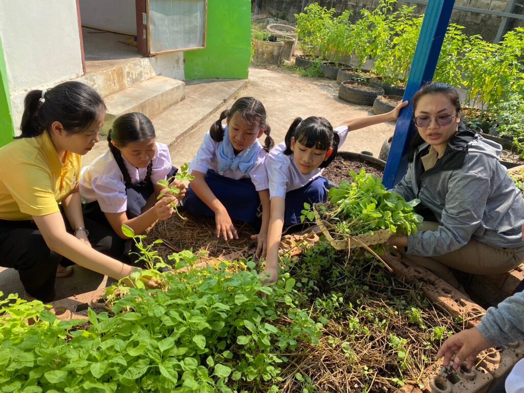 กิจกรรมการเกษตรและเศรษฐกิจพอเพียง 13